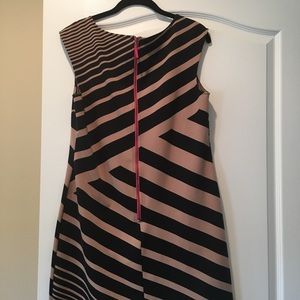 Beautiful Black and Tan Dress